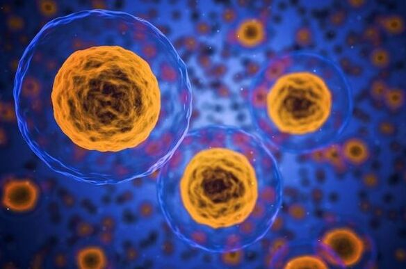 How does the weight loss process happen